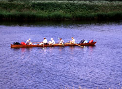 Ruderer auf der Weser