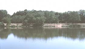 Cospudener See