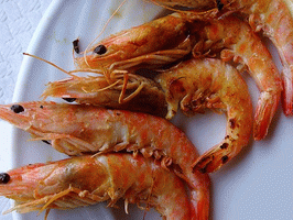 Gambas aus dem Mittelmeer