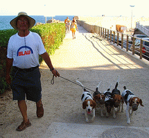 dann das Vergnügen - auf den Hund kommen