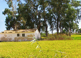 Geräte- und Lagerhaus im Delta