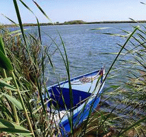 Ruderboot im Delta