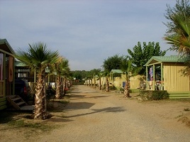 Camping el delfin verde