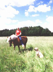 Reiterfreuden im Leinebergland