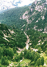 Blick vom Predigtstuhl
