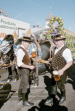 Bierkutscher auf dem Oktoberfest