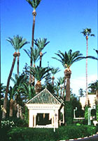 Garten Mamounia