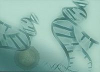 Der DNA Strang - Traeger des Erbgutes