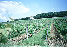 Landenbach
